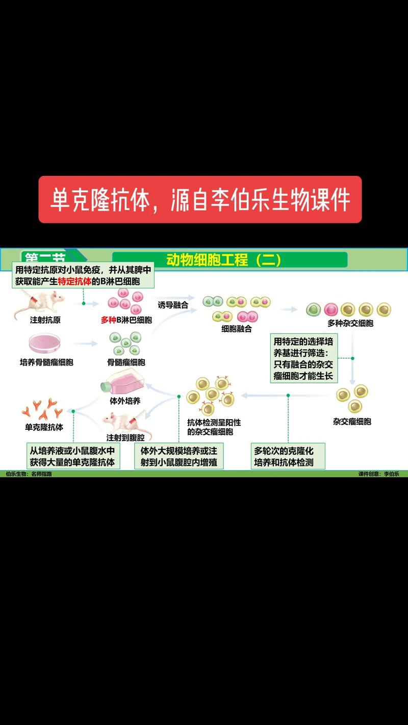 生物技术研发：开启未来医疗新篇章