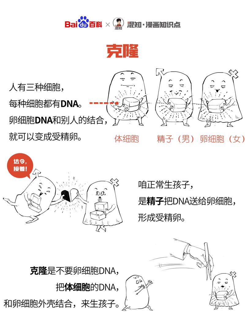 生物技术服务行业动态:创新引领未来发展