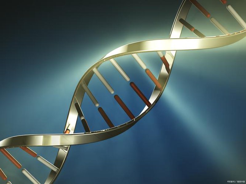 山东生物技术公司的新兴力量
