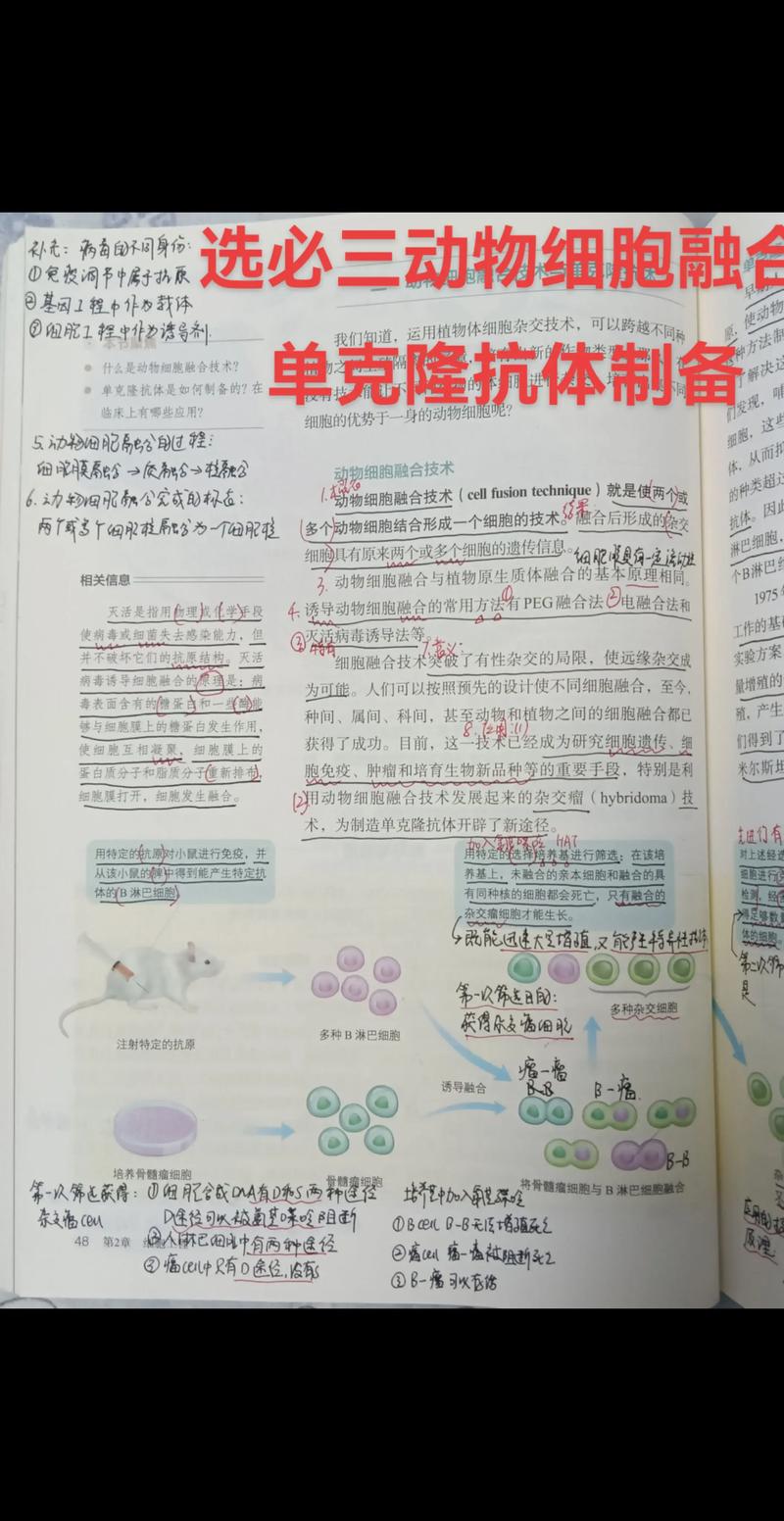 生物技术研发:推动医药革新与未来医疗的创新力量